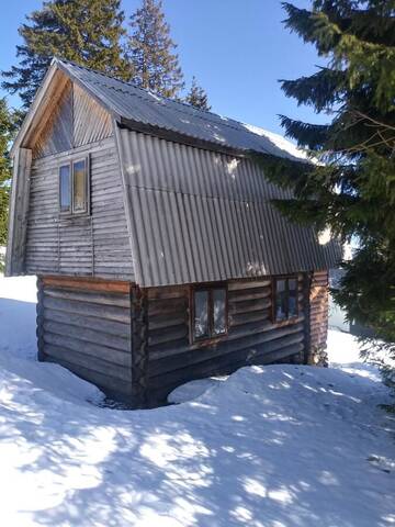 Фото Шале Chalet г. Драгобрат 4