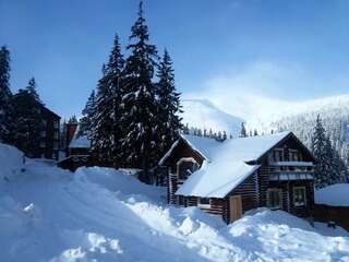 Фото Шале Chalet г. Драгобрат